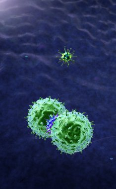 makrofaj ve koronavirüs.