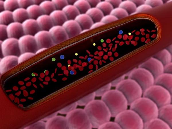 혈관 내 — 스톡 사진
