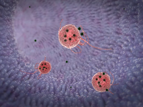 Phagocyte kills viruses — Stock Photo, Image