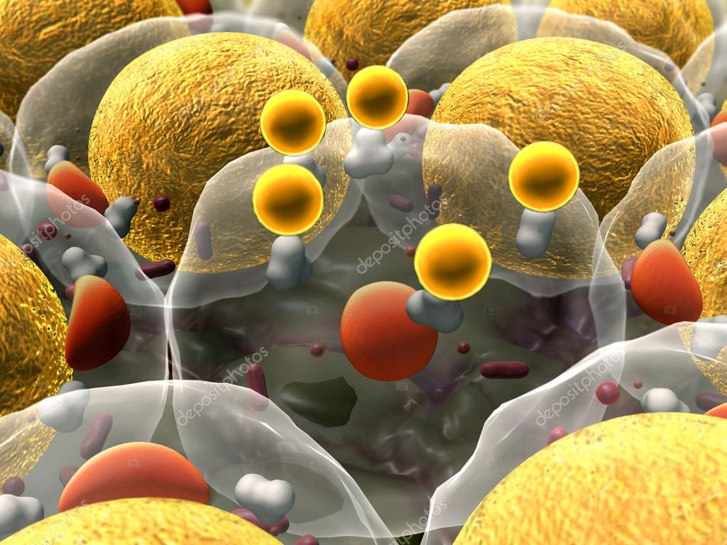 Field of fat cells — Stock Photo © Ugreen 95124136