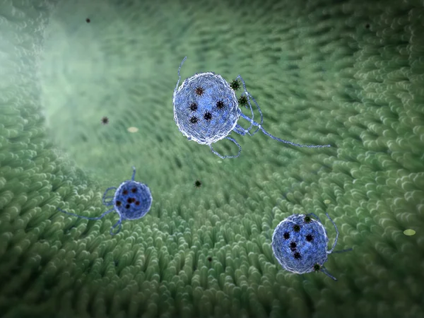 Fagocytsystemet dödar viruset — Stockfoto
