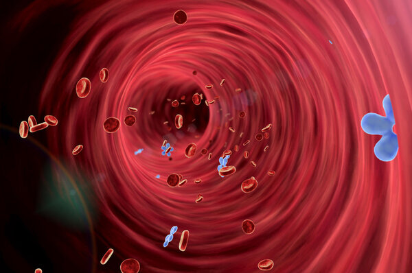 insulin and erythrocyte inside the blood vessel