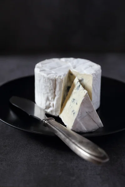 フランス ブルー チーズ ブレスブルー — ストック写真
