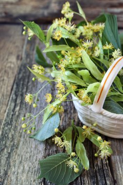 Ihlamur çiçekleri seramik sepeti