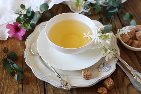 Romantic tea drinking with jasmine tea — Stock Photo, Image