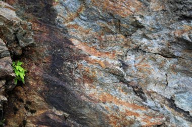 Arka plan: taş çok renkli kaya