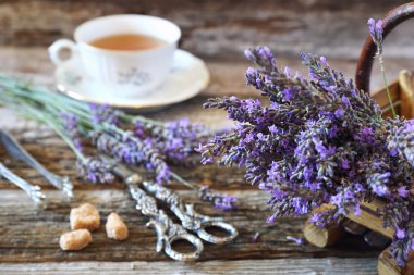 Aromatik Lavanta çay