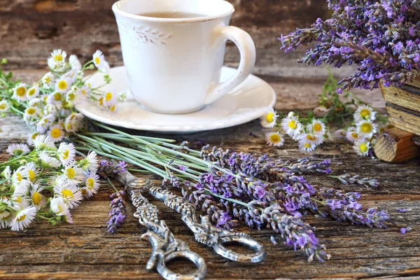 Lawenda aromatyczne herbaty — Zdjęcie stockowe