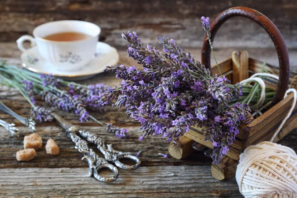 Aromatik Lavanta çay — Stok fotoğraf