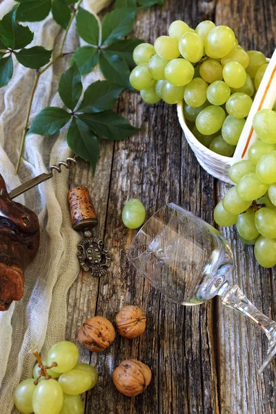 Зеленый виноград, грецкие орехи и виноград — стоковое фото