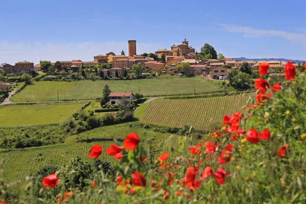 Landscape Vineyards Countryside Beaujolais Village Oingt Red Poppies Spring Rhone — Stock Photo, Image