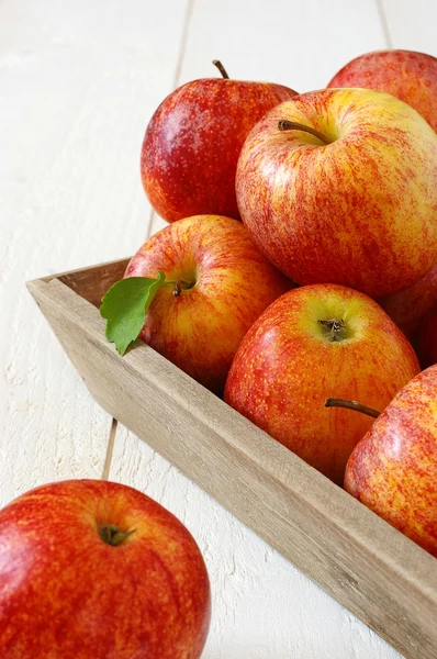 Red autumn apples on gray tray — Stock Photo, Image