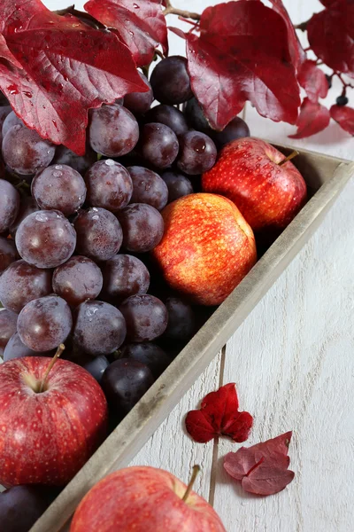 Autumn harvest:  red grapes and apples on a gray tray — Stock Photo, Image