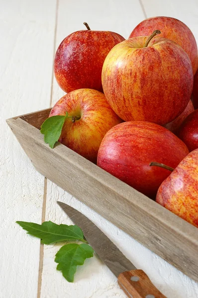 Red autumn apples on gray tray and knife — Stock Photo, Image