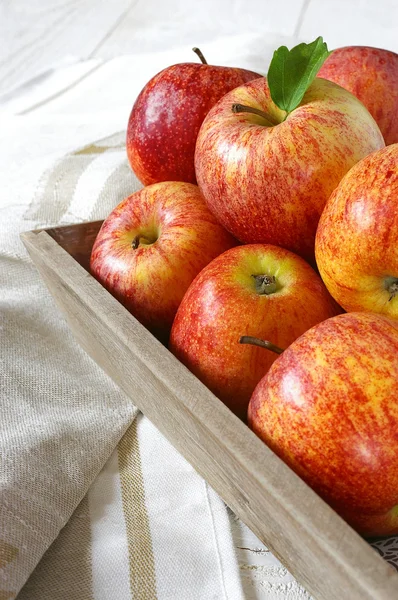 Red autumn apples on gray tray — Stock Photo, Image