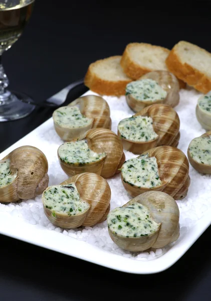 Traditional French cuisine: snails butter sauce — Stock Photo, Image