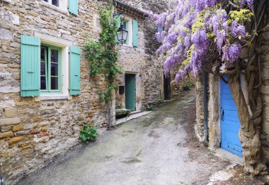 Provence Köyü: geçişli mor wisteria asma