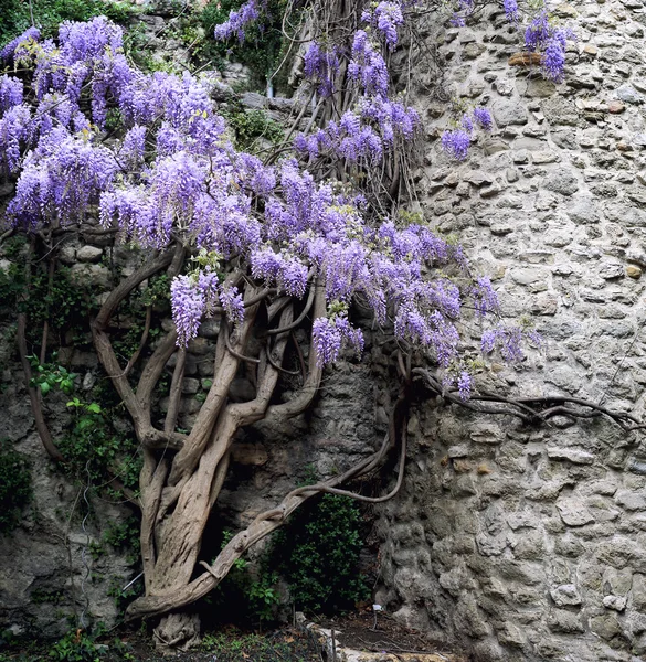 Glissière violette en cascade Image En Vente