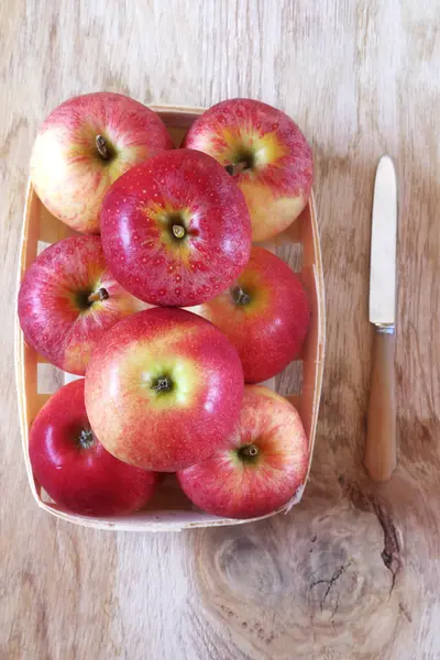 Red apples — Stock Photo, Image