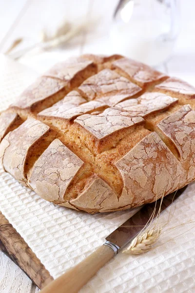 French country bread and milk — Stock Photo, Image