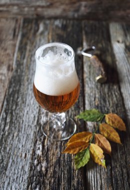 Bira ve sarı yapraklar