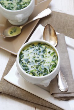 kremalı ıspanak çorbası