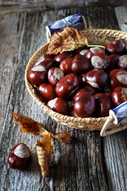 Kestane hasır sepet ve sonbahar yaprakları