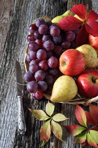 Autumn fruit-piece with fruits — Stock Photo, Image