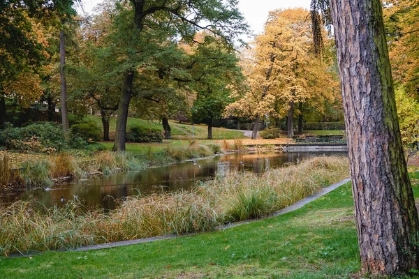 Almanya 'nın Fulda kentindeki şato parkında sonbahar renkleri ve pend