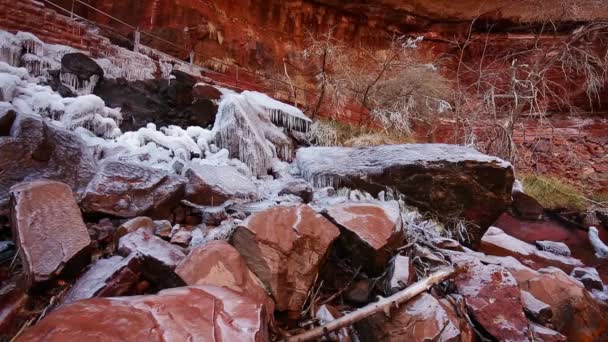 Emerald Pools in Zion National Park — Stock Video