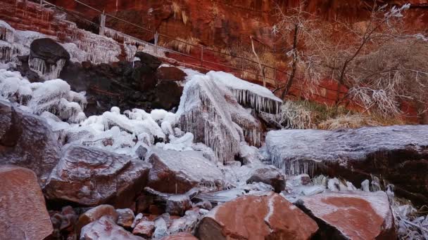 Emerald Pools in Zion National Park — Stock Video