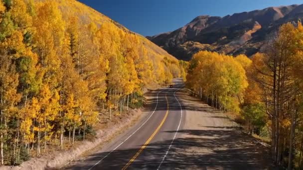 Gelbe Herbst-Espen-Blätter — Stockvideo