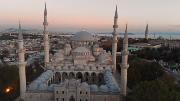 Masjid Suleymaniye di Istanbul — Stok Video