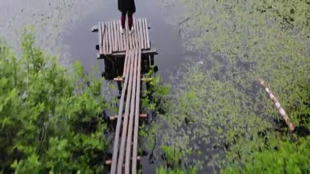 Растения в болоте вид сверху — стоковое видео