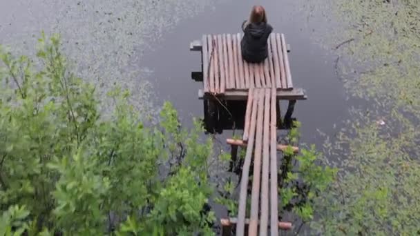 沼泽顶部的植物 — 图库视频影像