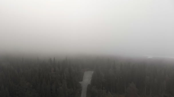 Muddus National Park, Condado de Norrbotten, Lapónia Sueca — Vídeo de Stock