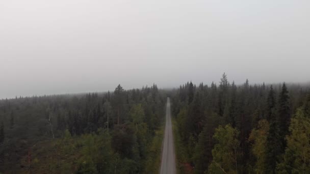 Muddus nationalpark, Norrbottens län, Swedish Lapland — Stockvideo