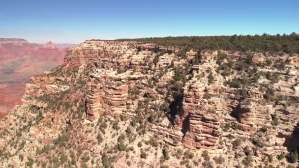 Grand canyon och Coloradofloden — Stockvideo