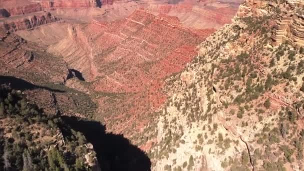 Gran cañón y río Colorado — Vídeo de stock