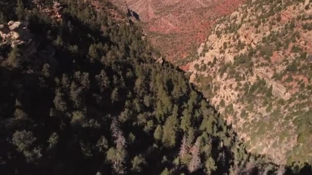 Grand canyon e fiume Colorado — Video Stock