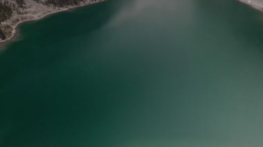 Sarı ağaçlı Kananaski Dağları 