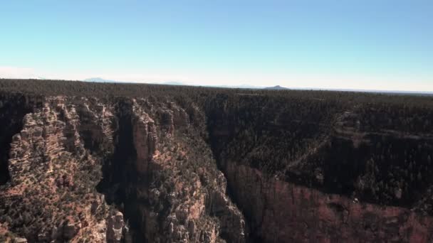 Grand Canyon und Colorado River — Stockvideo