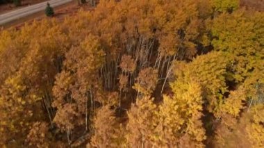 Göllü Kananaskis il parkı