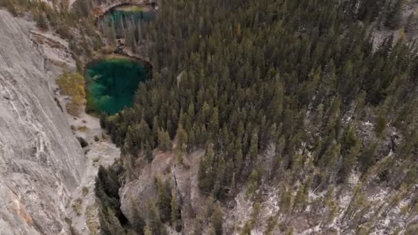 Góry Kananaskis z żółtymi drzewami — Wideo stockowe