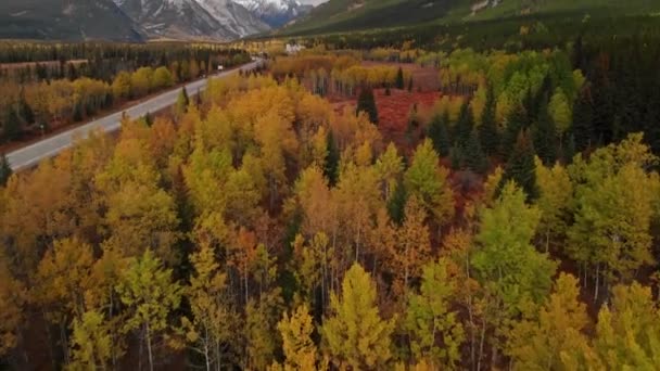 Kananaskis provinciaal park met meer — Stockvideo