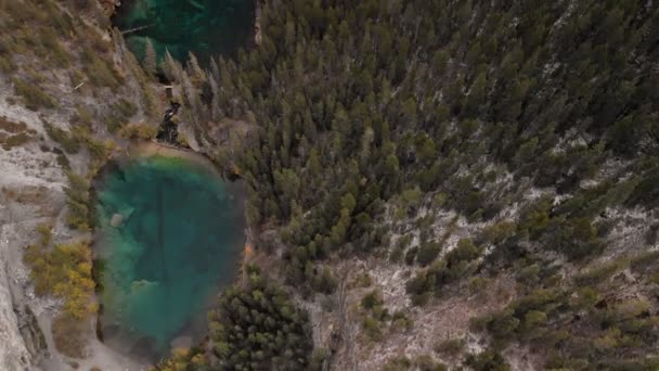 Kananaskis Berge mit gelben Bäumen — Stockvideo