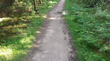 Genç bisikletçi güzel bir yolda gidiyor.