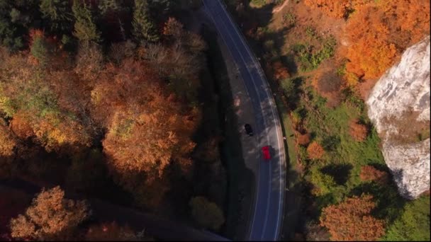 Flygfoto över Pieskowa Skala slott — Stockvideo