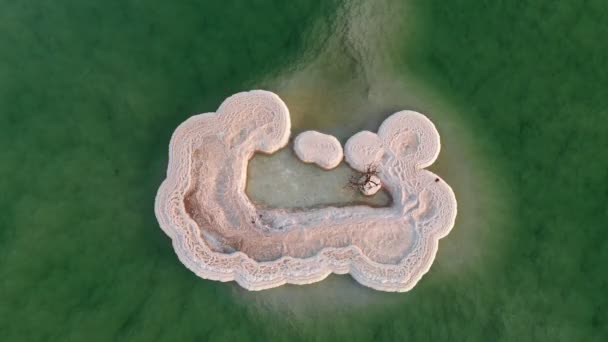 Letecký záznam pobřeží Mrtvého moře — Stock video