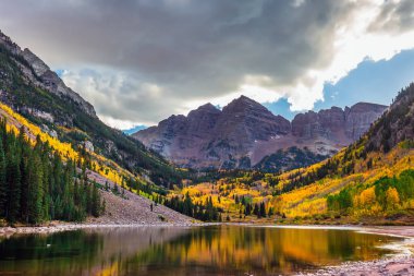 Kestane Çanları Karlı Yaban Hayatı ABD